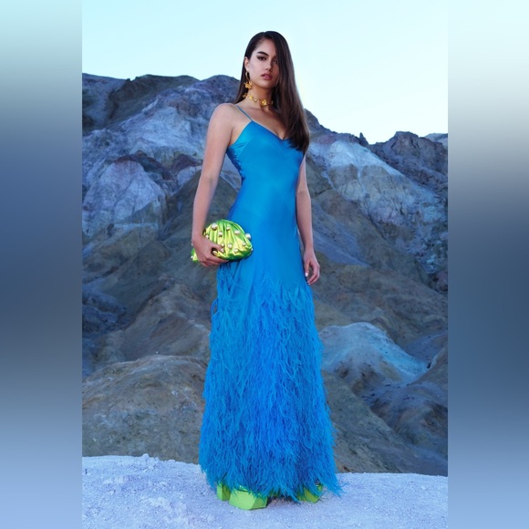 Cult Gaia Hansal gown